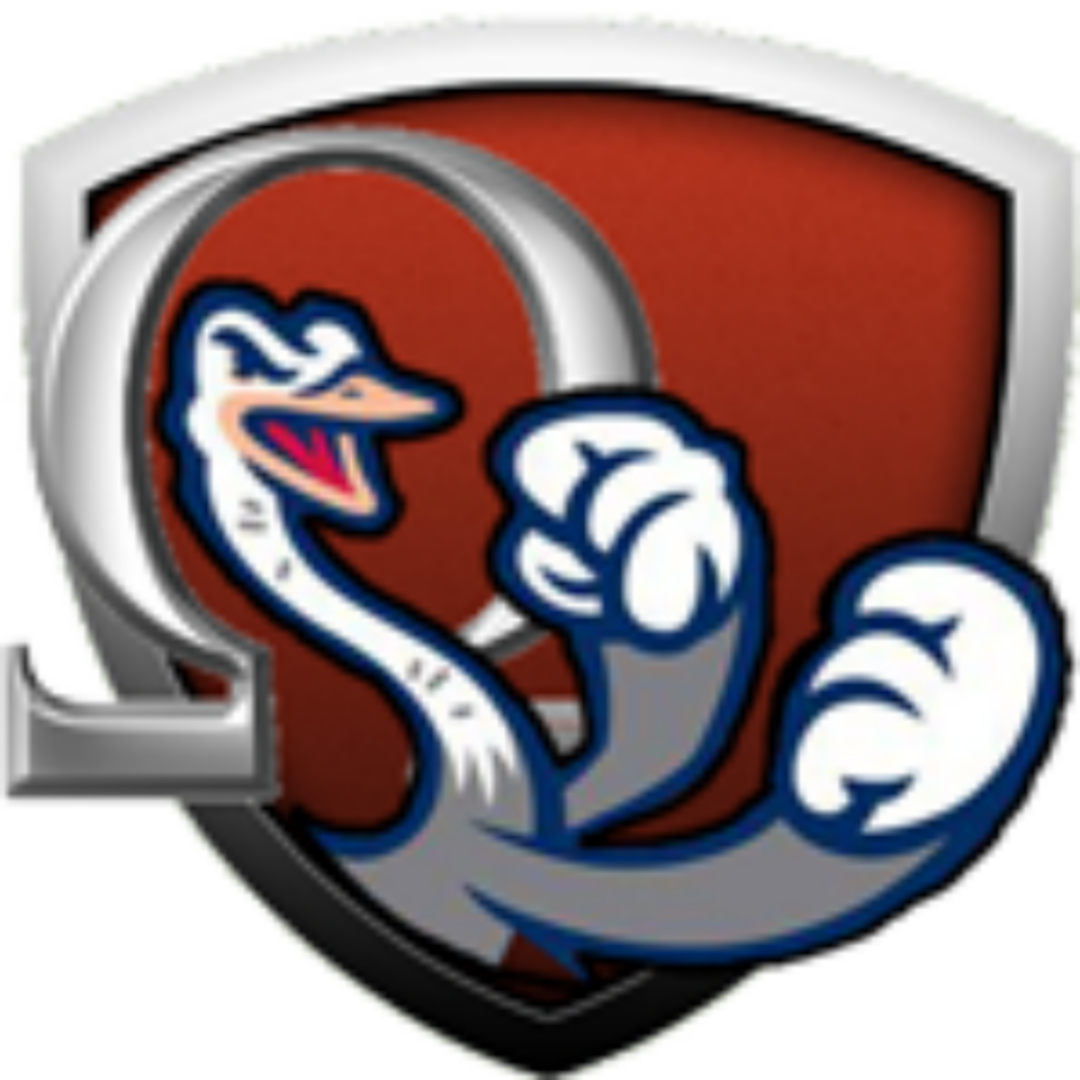 Omega Space Ostriches Logo